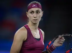 亚博-科维托娃赛事官方发布问鼎冠军新规，中国队争议不断！的简单介绍